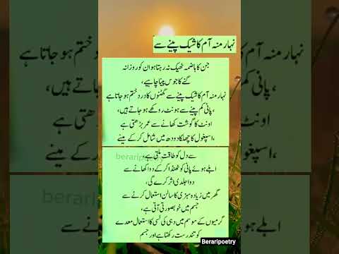 Nehar Much Am Ka Sheak Quotes Besthakeem Poetry Luqmanhakeem Hakeemtariq Muslimphilosopher
