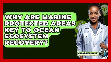 Why Are Marine Protected Areas Key To Ocean Ecosystem Recovery? - Earth Science Answers
