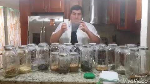 🌿🥦🌱🥬️ Sprouting 101   STEP 1   Tools for Sprouting 🌿🥦🌱🥬️