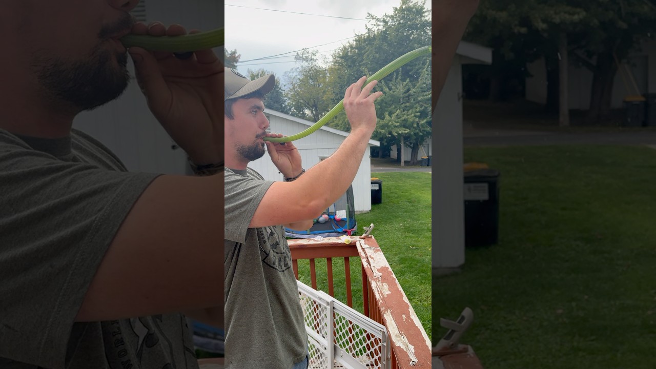 How to make a zucchini horn!! 