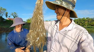 Giăng Cá Lòng Tong Gần Cầu Đại Ngãi 2 , Dính Cá Trắng Tay Lưới || TTR #27