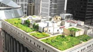 Why do some buildings have green roofs?