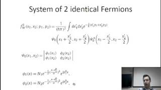 Systems of identical Fermions in the Wigner formulation of quantum mechanics