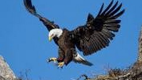 How To Day Trade Using Elliott Wave Like An Eagle Part 3