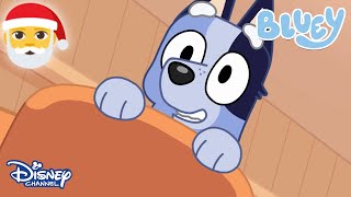 Noel Baba Sırası Bluey Disney Channel Tr