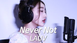 never not - lauv│cover