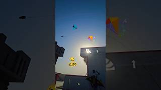 Kite Catch Trying 😢