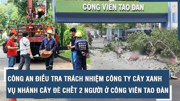 Công an điều tra trách nhiệm công ty cây xanh vụ nhánh cây đè chết 2 người ở Công viên Tao Đàn l VTs