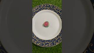 Dolphin Jelly Candy Strawberry Flavour