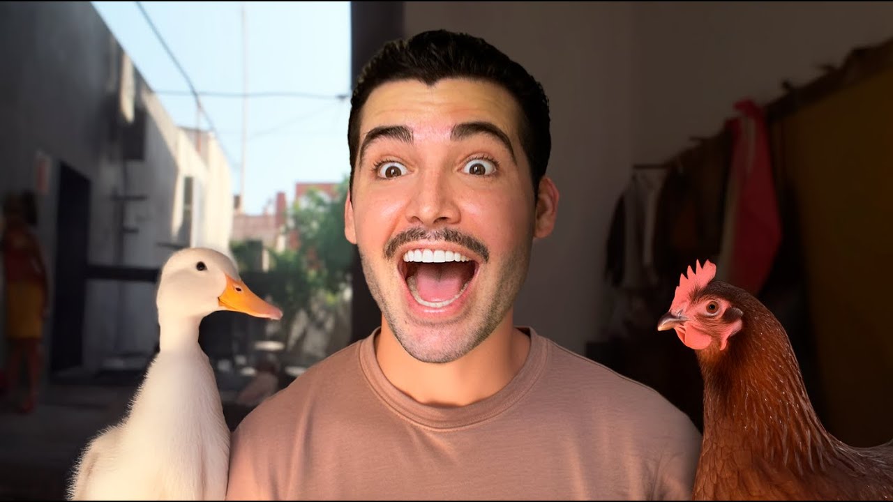 Llevo a mi pato y a mi gallina a la calle por primera vez - YouTube