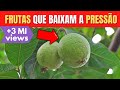 10 frutas que fazem baixar a presso alta naturalmente hipertenso arterial