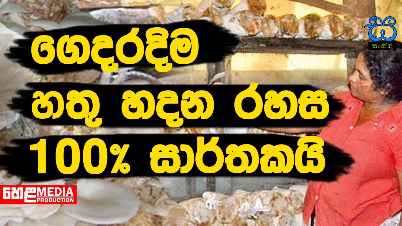 let's make the mushroom home