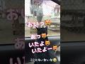 まるで人間⁉️3秒後大興奮😻 #しゃべる猫