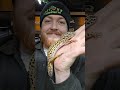 HOW BIG ARE YOUR BABIES? #reptilelove #animals #reptiles #frog #babyanimals #pets #snake #tarantula