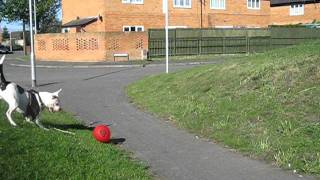 MVI_3093.AVI