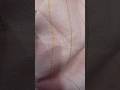 Wholesale lines cloth 60 Lee#shorts  #viralshort #tradingshorts #shortfeed #ytshorts #charminarshopp