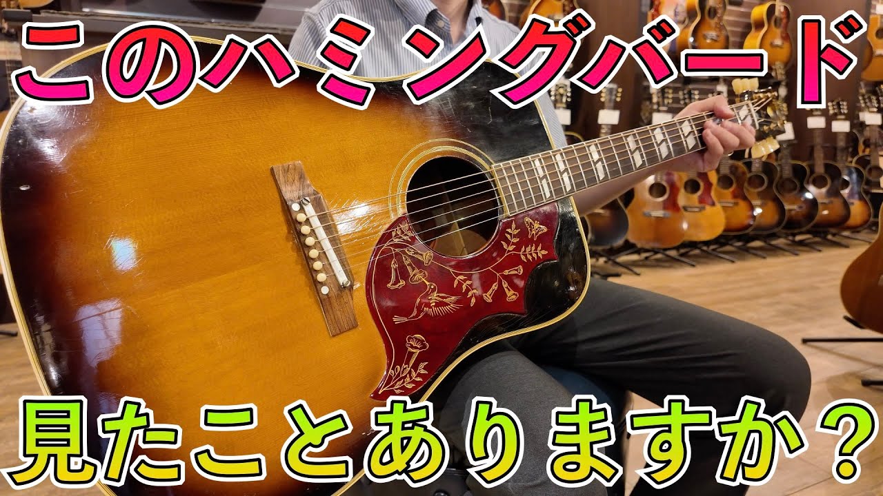 本当に実在したタバコサンバーストのビンテージハミングバード