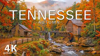 Tennessee Autumn 4K 🇺🇸 | Great Smoky Mountains, Golden Forests & Breathtaking Fall Landscapes