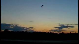 Tofsvipa / Vanellus vanellus / Northern Lapwing / ljud-sound