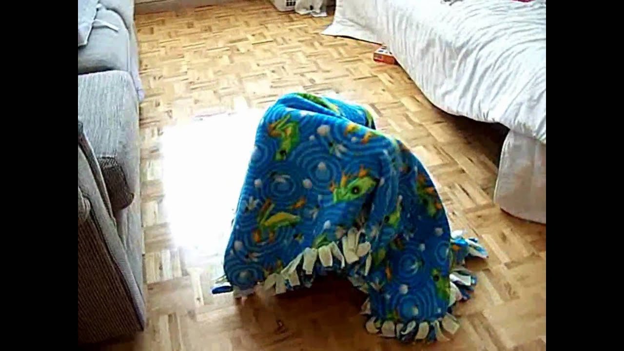 The Blanket Monster YouTube