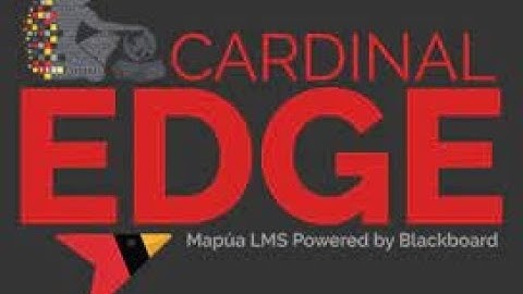 Deleting Turnitin Papers Permanently on Blackboard