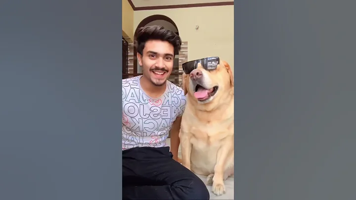 Talking dog leo😂 #shorts #talkingdog