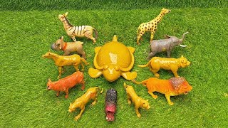 Farm vs Jungle Animal Toy Wash Challenge | Can You Guess the Animals in the Mud! screenshot 3