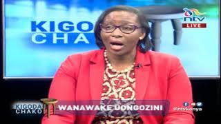 Rais Samia Suluhu ataongoza kwa 'U-bulldozer' zaidi ya Magufuli - Beatrice Elachi