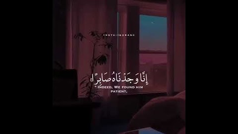 القارئ #رعد_الكردي