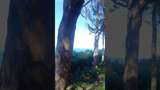 Extendiendo las Estacas por la parte norte de España Asturias bendiciones....