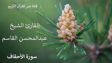 046 ـ سورة الأحقاف ـ القارئ الشيخ عبدالمحسن القاسم
