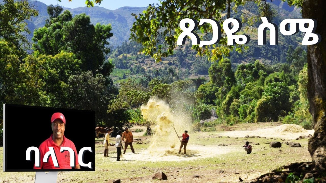 Guarda Ethiopian Gurage music ጸጋዬ ስሜ Balager new ባላገር ነው Tsgaye Sime ምርጥ ጉራጊኛ ሙዚቃ su YouTube Guarda Ethiopian Gurage music ጸጋዬ ስሜ Balager new ባላገር ነው Tsgaye Sime ምርጥ ጉራጊኛ ሙዚቃ su YouTube