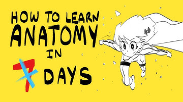 How To Learn Anatomy In More Than 7 Days