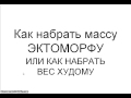 набор массы эктоморфа