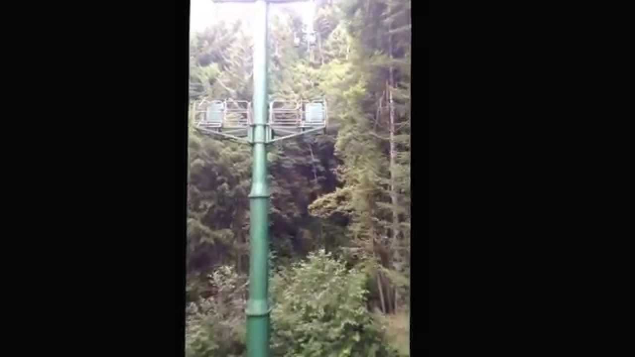  California Tree of Mystery. Skytrail. YouTube