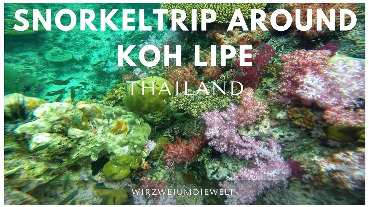 WELTREISE-VLOG#073 Snorkeltour 7 Islands - Part 1