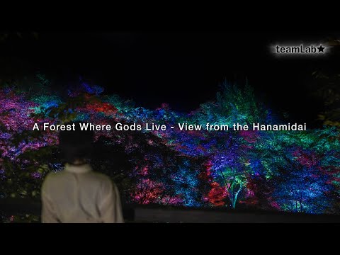 Hanamidai (Viewing Spot)