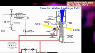 HUGE PLUTONIUM LEAKAGE LAND & SEA - Japan Fukushima Nuclear Reactor Meltdown