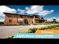 Видео обзор агротуризм Sanguineto, Италия