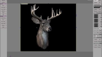 Redshift 3D Hair Rendering