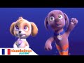 Paw Patrol : la Pat'Patrouille | Les chiens-sirènes | NICKELODEON JUNIOR