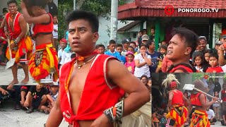 Ngakak !!! Bujang Ganong Lucu Yosika Dan Kentus Dolanan Sekrop, Reog Ponorogo Di Pandanderek Winong