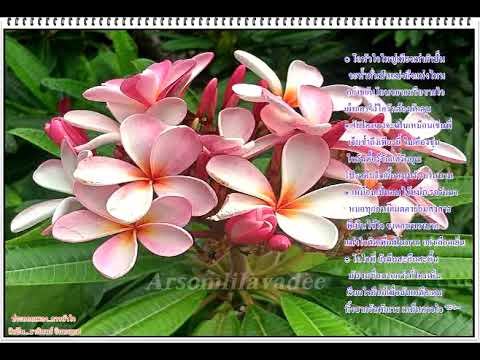 คาวหัวใจ