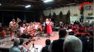 Sallnecker Polka Gaudi