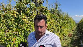 Τσικριτσής: Na δοθούν άμεσα προκαταβολές οι αγρότες δεν μπορούν να ζήσουν