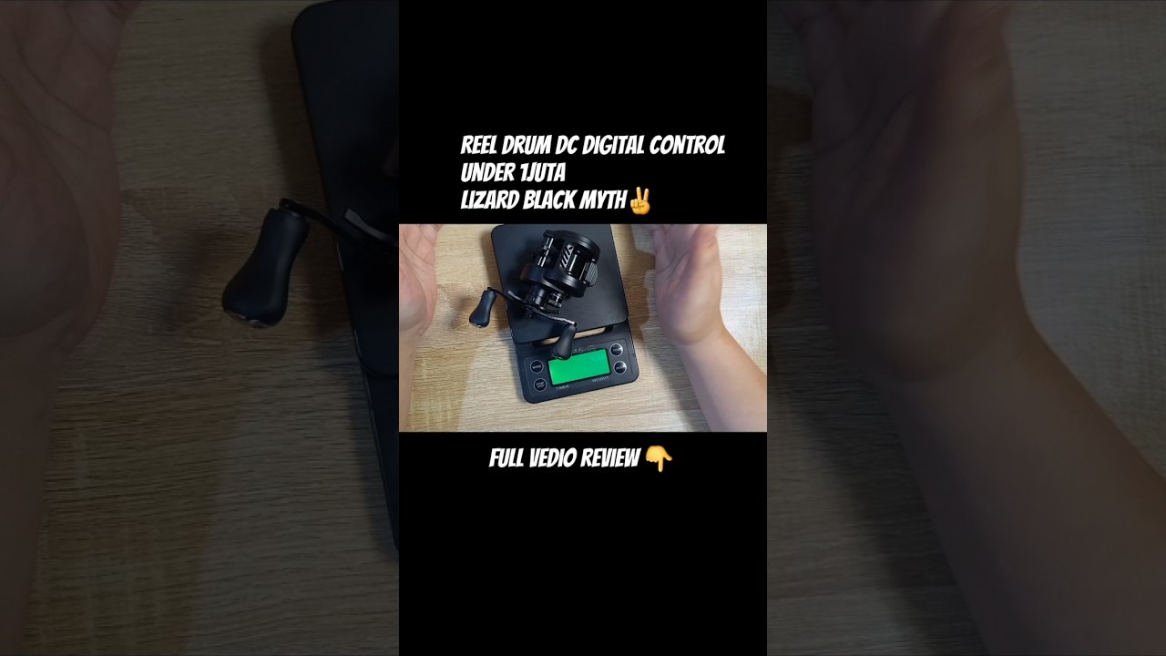 Lizard BLACK MYTH DC VERSION（L） Lizard Black Myth DC Version, (Review, Test, & Bongkar dalaman