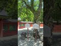 パワースポットクイズ！この神社はどこでしょうか？分かった人はコメントしてね！