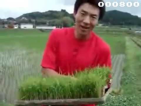 根を見二 ARCHIVED REUPLOAD