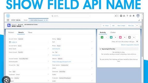 Salesforce Show API Names Chrome EXTENSION - 4
