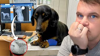 Thumbnail for Ko Je Pucao Na ŽIKU ?